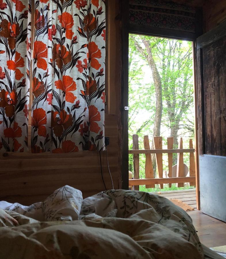 Fenetre Sur Les Pyrenees Hotell Soulan  Exteriör bild