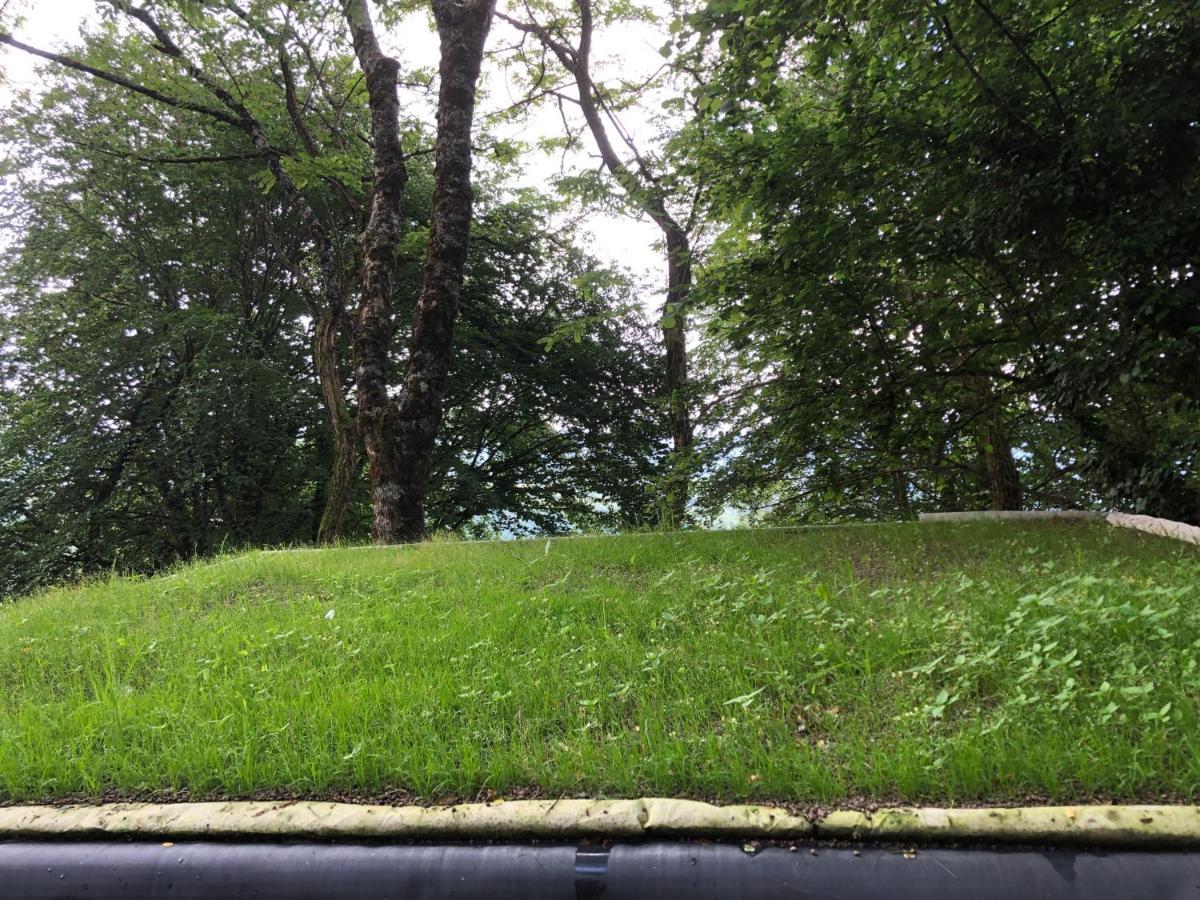 Fenetre Sur Les Pyrenees Hotell Soulan  Exteriör bild